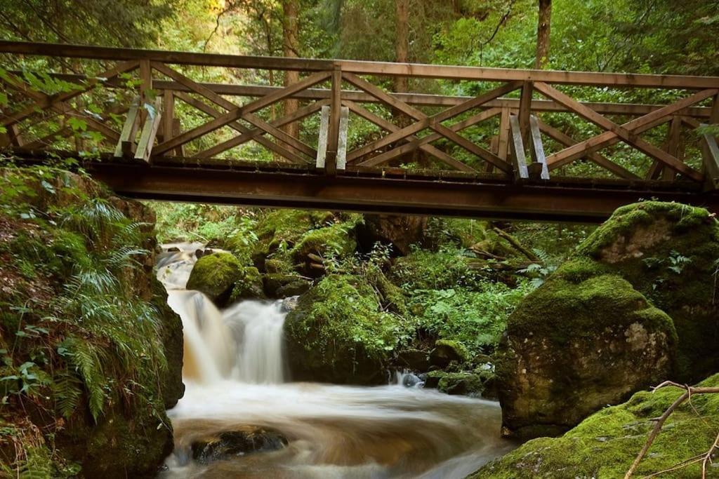 Appartamento Sieben Tannen Titisee + Hochschwarzwald Card Esterno foto