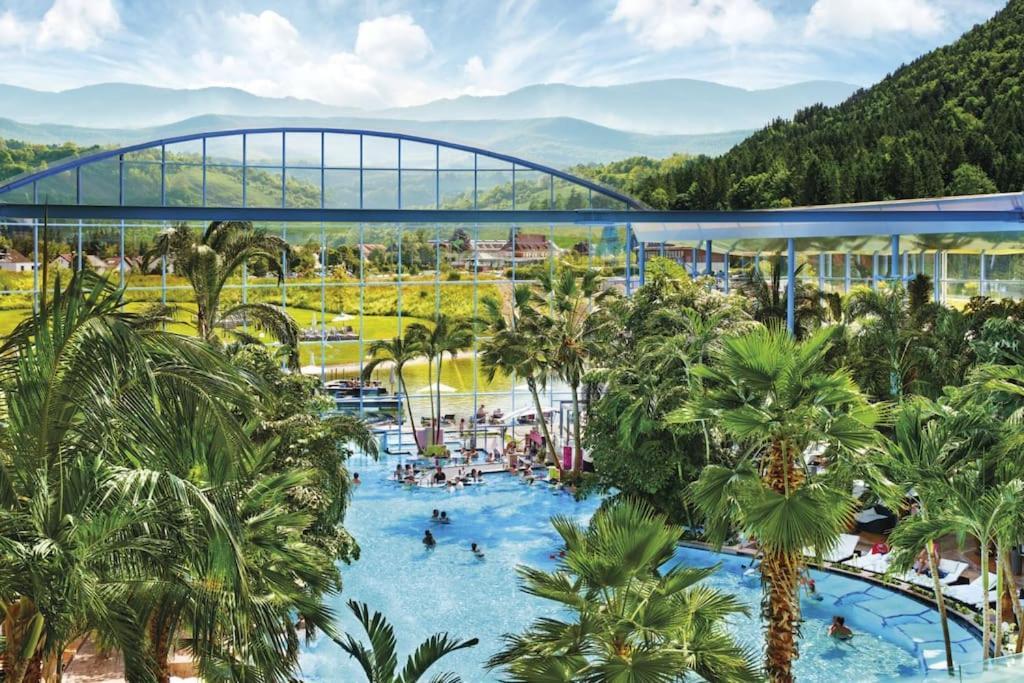 Appartamento Sieben Tannen Titisee + Hochschwarzwald Card Esterno foto