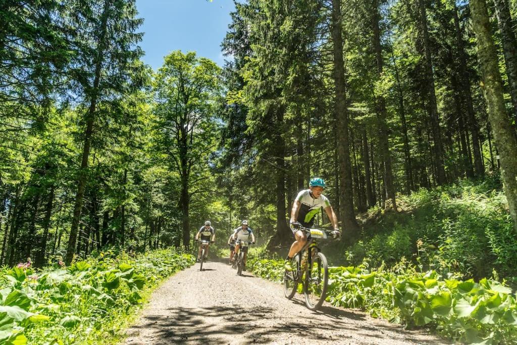 Appartamento Sieben Tannen Titisee + Hochschwarzwald Card Esterno foto