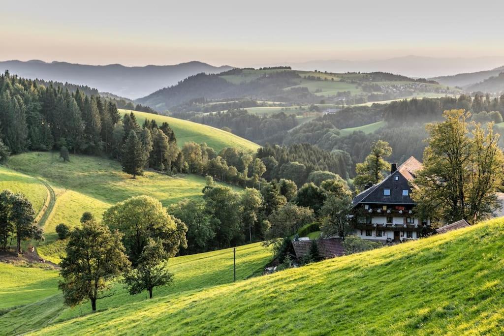 Appartamento Sieben Tannen Titisee + Hochschwarzwald Card Esterno foto