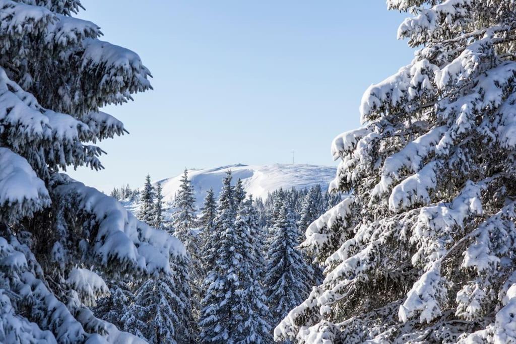 Appartamento Sieben Tannen Titisee + Hochschwarzwald Card Esterno foto