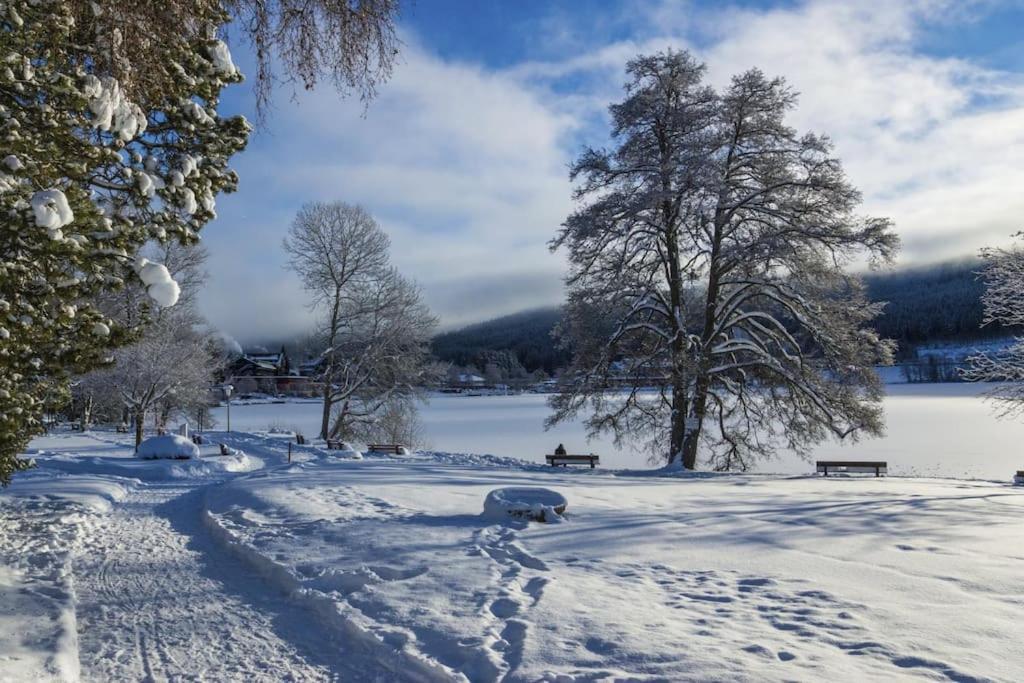 Appartamento Sieben Tannen Titisee + Hochschwarzwald Card Esterno foto